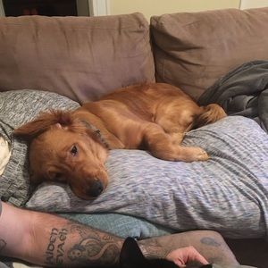 Meet your Posher, Amara